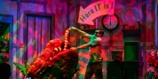 Review: LITTLE SHOP OF HORRORS at Garden Theatre Photo
