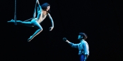Review Roundup: WATER FOR ELEPHANTS Opens On Broadway- See What the Critics Are Saying! Photo