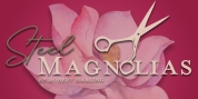 Review: STEEL MAGNOLIAS at STAGES St. Louis is as Beautiful as a Louisiana Magnolia Tree i Photo