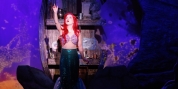 Review: THE LITTLE MERMAID at White Theatre Photo