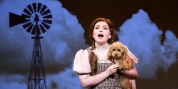 Review: THE WIZARD OF OZ at Beef & Boards Dinner Theatre Photo