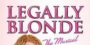 Spotlight: LEGALLY BLONDE at Beef & Boards Dinner Theatre Photo