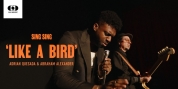 'Like a Bird' Music Video by Abraham Alexander & Adrian Quesada Video