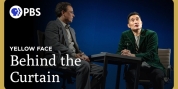 Behind the Curtain of YELLOW FACE with Daniel Dae Kim & More