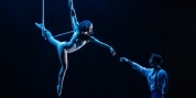 Go Behind the Trapeze Work in WATER FOR ELEPHANTS Video