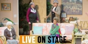 GOLDEN GIRLS: THE LAUGHS CONTINUE Is Coming to the Appell Center Video