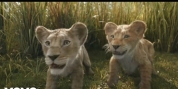 Disney Releases Full Clip of 'I Always Wanted a Brother' from MUFASA Video