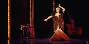 Video: Steve Ross Sings 'I Am What I Am' from LA CAGE AUX FOLLES at Stratford Festival Photo