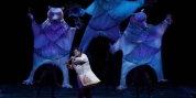 Video: New Look At Mozart’s THE MAGIC FLUTE At the Metropolitan Opera