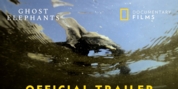 Video: National Geographic Releases Trailer for Werner Herzog's GHOST ELEMENTS