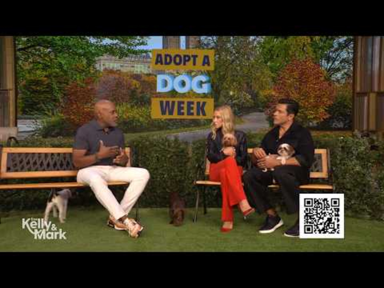 Dr. Will Draper Shares Tips on Picking the Right Dog for Your Lifestyle Video