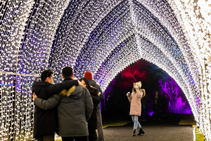 LIGHTSCAPE At Brooklyn Botanic Garden Returns November 16, 2022 Image