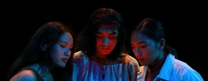 Town Hall Announces Fifth Installment for New Voices Series Image