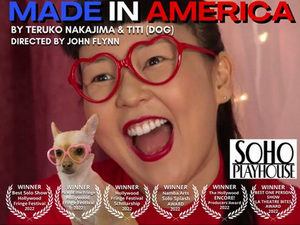 MADE IN AMERICA Is Coming To Soho Playhouse Next Month Image
