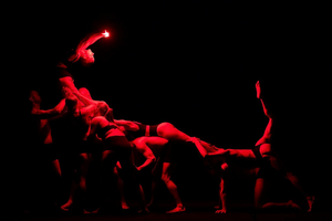 Gravity & Other Myths Brings THE MIRROR To The Sydney Opera House Image