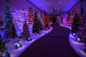 Be a Part of Pittsburgh CLO's A MUSICAL CHRISTMAS CAROL Holiday Tree Tradition Image