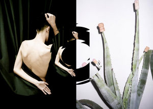 ERNANI Comes to Opera Ballet Vlaanderen This Week Image