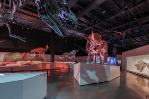 Ars Lyrica Houston Hosts Gala At The Houston Museum Of Natural Science, February 4 