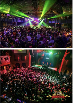 Kings Theatre to Present REGGAE FEST LIVE NEW YEAR'S EVE Image