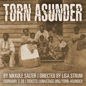 Nikkole Salter's TORN ASUNDER Opens At Luna Stage, February 2 Image