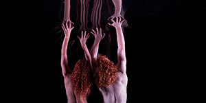 Dancenorth's RED Will Make QPAC Debut Image