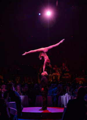 Acrobatic Duo Added To Teatro ZinZanni's Cast of COMING HOME Image