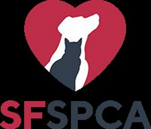 San Francisco SPCA Kicks Off 155th Anniversary With Community Open House And Adoption Event 