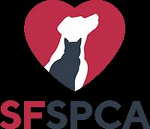 San Francisco SPCA Kicks Off 155th Anniversary With Community Open House And Adoption Event Image