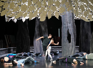Hungarian State Opera Presents THE WOODEN PRINCE Image
