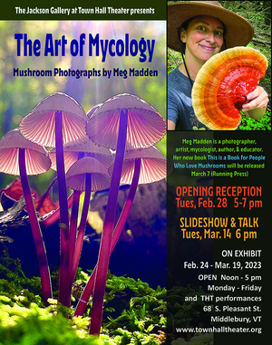 The Art of Mycology: Mushroom Photographs by Meg Madden Comes to the Jackson Gallery at Town Hall Theater 