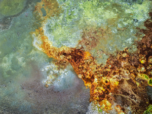 Edward Burtynsky: African Studies Opens This Week at the Howard Greenberg Gallery Image