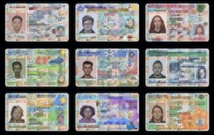 Some Assembly Theatre Presents THE IDENTITY BUREAU Next Month Image