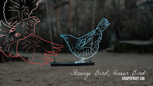 Grapefruit Lab's STRANGE BIRD QUEER BIRD Opens April 7 Image