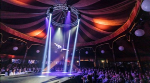 Spiegeltent Returns To Wollongong With Epic Three Week Program 
