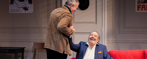 LES PIGEONS  is Now Playing at Théâtre des Nouveautés Image