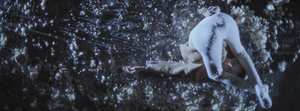Birds Of Paradise Present New Film OBITS at Fruitmarket For One Week Only Image