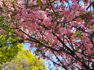 Student Blog: Tips for a Healthier, Happier You - Overcoming Burnout Image