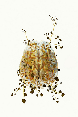 Tenri Cultural Institute Presents Biomes and Homologies: Costas Picadas Image
