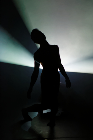 Japan Society Presents 'Extinction Rituals' by Ximena Garnica and Shige Moriya Image