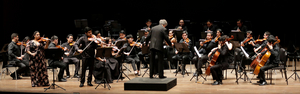 Orquesta Sinfónica Nacional Juvenil Bicentenario Sincronías Perform Haydn y Aguilar Image