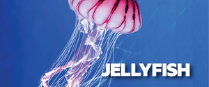 Actor Living With Down Syndrome Will Make Debut in Australian Premiere of JELLYFISH at the New Theatre 