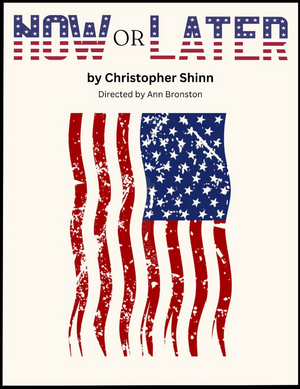 NOW OR LATER Comes To The Hollywood Fringe Festival Image
