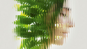 Lyric Hammersmith Theatre's SPRINGBOARD to Stage Fresh Adaptation of THE BACCHAE This July Image