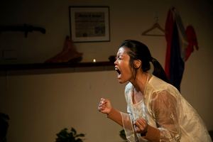 CRISIS MODE: LIVING PILIPINO IN AMERICA At Strand In Baltimore Resonates With Immigrants, Illuminates Everyone Image