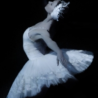 Polina Semionova Will Guest Perform With Birmingham Royal Ballet in SWAN LAKE Photo