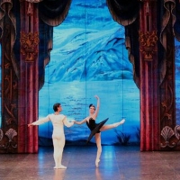 SWAN LAKE Will Be Performed by the Saint Petersburg Ballet at EDP Gran Vía Theater Photo