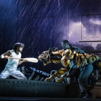 Photos: Get a First Look at LIFE OF PI on Broadway Photo