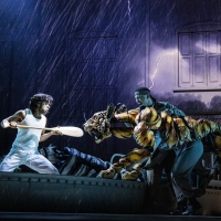 Photos: Get a First Look at LIFE OF PI on Broadway
