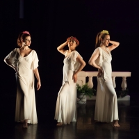 Mosaic Dance Theater Company to Present TROY: WOMEN & WAR Photo