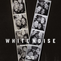 Casting Announced For Suzan-Lori Parks' WHITE NOISE at the Bridge Theatre